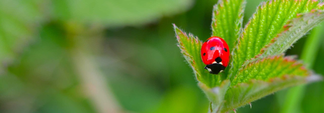 Our approach to sustainability
